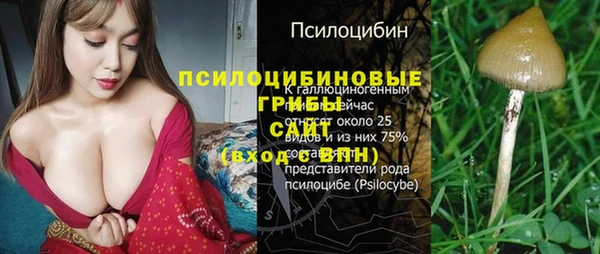 первитин Балахна