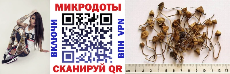 Галлюциногенные грибы мицелий  Ленинск 